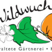 (c) Wildwuchs-hd.de